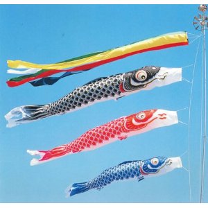 51x4EDmar5L._SL500_AA300_