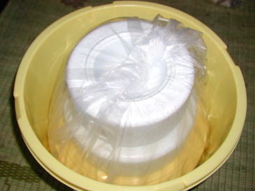 P62000601