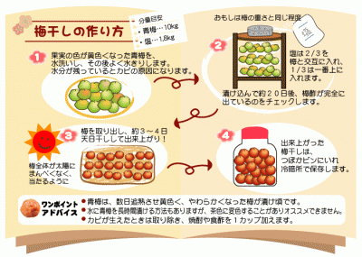 umebosi-make