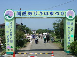 0806kaisei0111