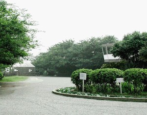 1-20130116162520