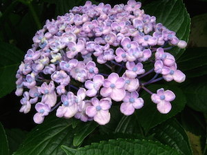 2006_0622_141433