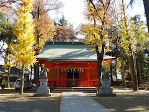 tama_ono3
