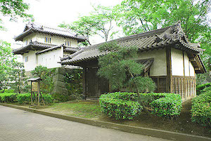 SONY DSC