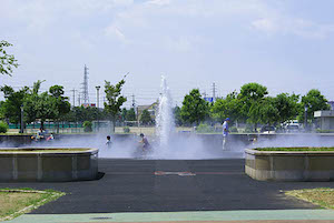 SONY DSC