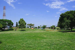 SONY DSC