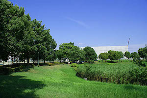 SONY DSC