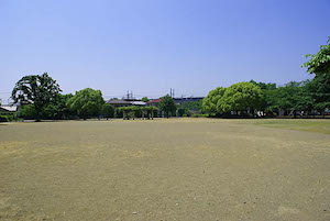 SONY DSC