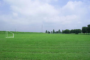 SONY DSC