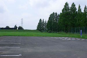 SONY DSC