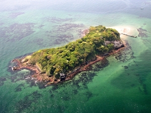 1237868403_photo