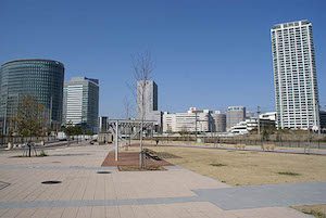 SONY DSC
