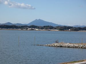 2011010217130058d[1]