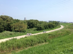 201308213
