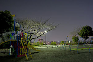 karasawa4