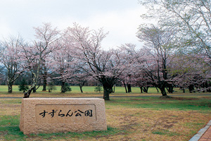 photo-1