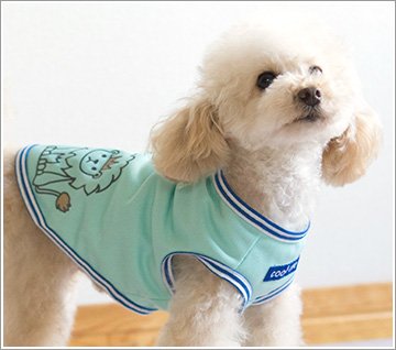 犬の熱中症の対策グッズを紹介します！熱中症にかかりやすい犬種は…