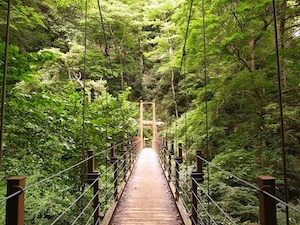 高尾山への登山 夏編！初心者用のコースは？持ち物や服装も紹介し…