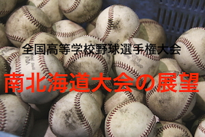 南北海道大会の展望