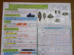 模造紙