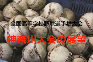 神奈川大会の展望