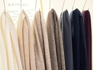レディース用ストールの選び方、カラー