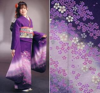 江戸紫の振袖でグラデーションと桜柄が入った成人式の振袖画像